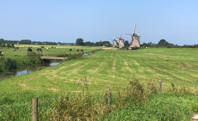 WindmillsInHolland.jpg